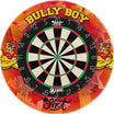 Shot - Bandit Gen 4 Dartboard & Surround Bundle - Michael Smith