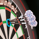 Red Dragon - Gerwyn "Iceman" Price - Darts Practice Rings -
