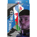 Target - Lewy Williams Darts - 90% Tungsten - 23g 25g -