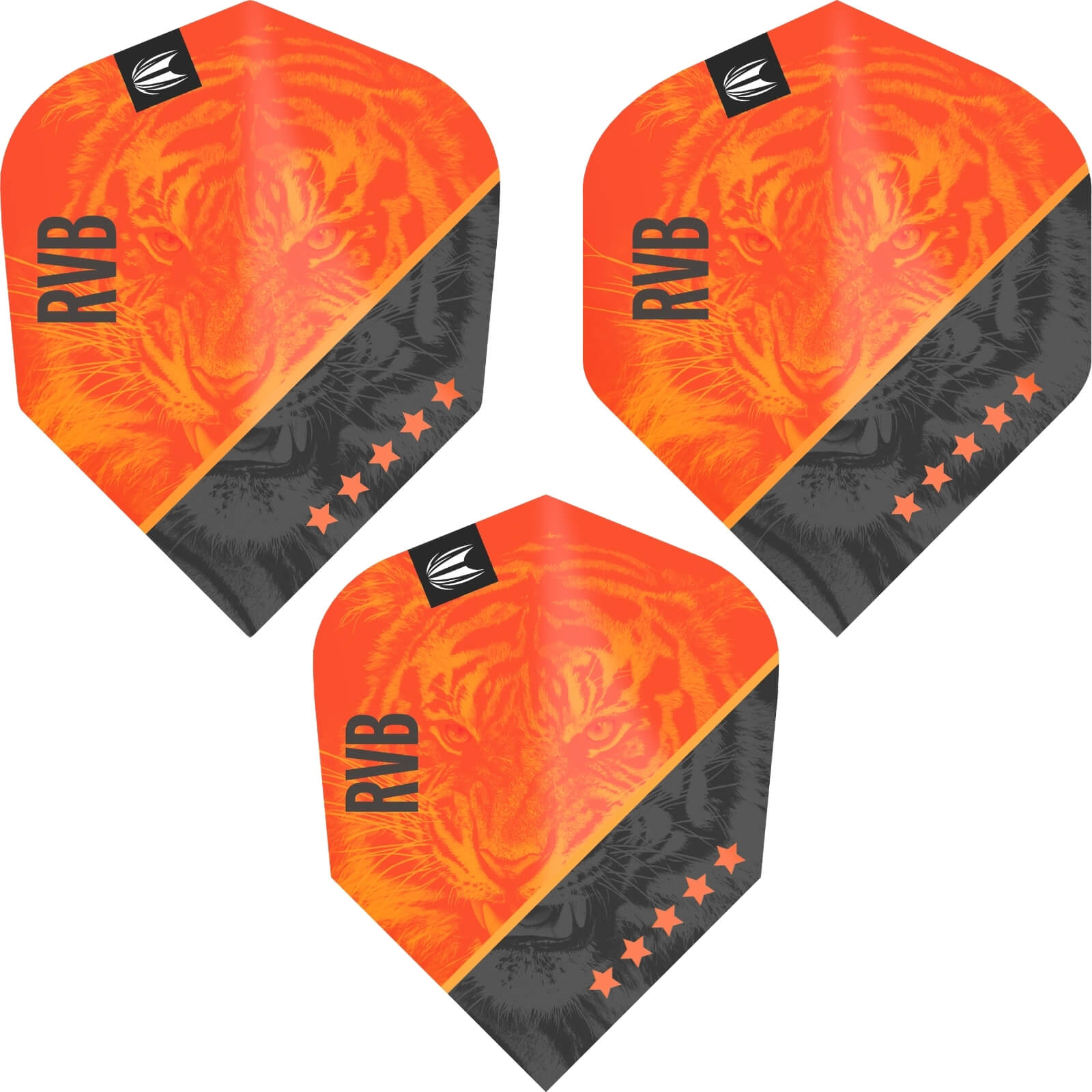 Dart Flights - Target - Raymond Van Barneveld Gen 4 Dart Flights 