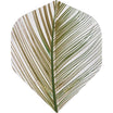 Loxley - Transparent Feather Print - Big Wing Dart Flights - Green